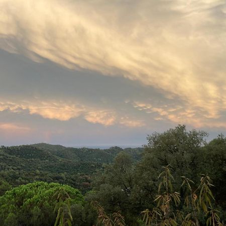 Вілла Casa Con Vista Y Jardin, A 20' De La Playa Sant Cebria de Vallalta Екстер'єр фото